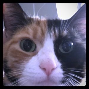 Meet your Posher, Holly